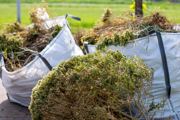 Trusted St Francis, MN Junk Removal Services Experts